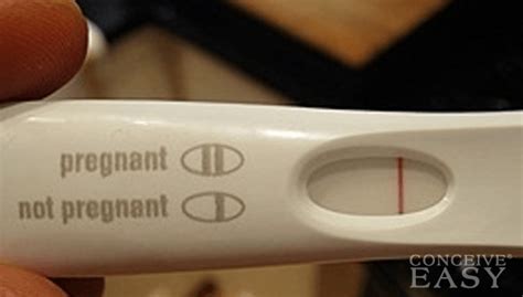 False Negative Pregnancy Tests: What To Know – .